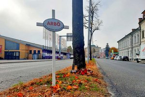 ARBÖ mahnt mit weißen Kreuzen am Straßenrand zu Allerheiligen zu mehr Vorsicht. Foto: Mein Klagenfurt