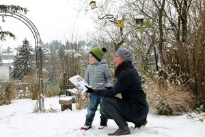 Vogelzählung: BirdLife Österreich lädt zur Stunde der Wintervögel. Foto: BirdLife Österreich