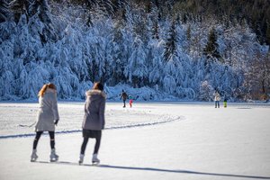 Dieses winterliche Vergnügen wird durch den engagierten Einsatz des Eislaufvereins Wörthersee ermöglicht. Foto: DerHandler