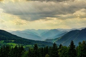 Während in Österreich rund 48 Prozent der Landesfläche von Wald bedeckt sind, liegt der Anteil in Kärnten bei über 60 Prozent. 