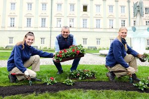 Stadtgarten-Team pflanzt 65.000 bunte Sommerblumen. Foto: StadtKommunikation/Krainz