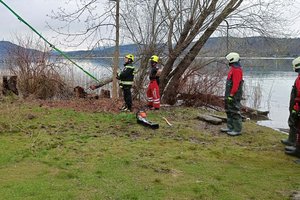 Bei der Hundewiese entfernte die Berufsfeuerwehr gleich mehrere Gefahrenquellen: einen gefährlichen Betonsockel mit herausragenden Eisenstäben, einen ins Wasser ragenden Bauzaun sowie bruchgefährdete Äste. Foto: Berufsfeuerwehr Klagenfurt