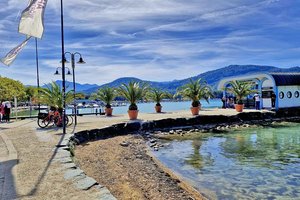 Forschungsprojekt: Ostbucht am Wörthersee in Klagenfurt soll naturnäher werden. Foto: Mein Klagenfurt