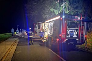 Im Einsatz standen Kräfte der FF Ludmannsdorf. Foto: FF Ludmannsdorf