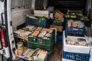 Sushi bei 22 Grad transportiert: Lenker angezeigt. Foto: Symbolbild