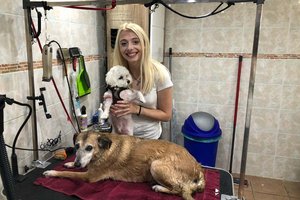 Die 23-jährige Stefanie hat sich in Welzenegg als Hundefriseurin selbstständig gemacht. Foto: KK