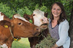 Schärdinger Milchbäuerinnen und Milchbauern setzen auf Methanreduktion. Foto: Berglandmilch