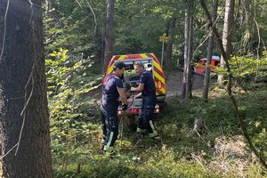 Am Falkenberg kam es am Sonntag zu einem Waldbrand. Foto: Berufsfeuerwehr Klagenfurt