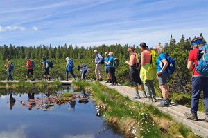 Naturfreunde Klagenfurt starten Aktion gegen Einsamkeit. Foto: Naturfreunde Klagenfurt