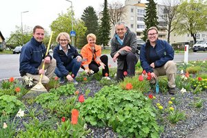 Klimafitte Stadtbegrünung: Farbenfrohe Staudenmischpflanzungen. Foto: StadtKommunikation/Hronek