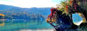 Herbst: Die farbenfrohe Jahreszeit hat Klagenfurt im Griff