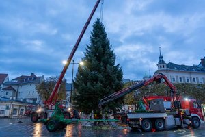 Foto: Bis zur Eröffnung des Christkindlmarktes am 18. November wird der Baum noch festlich geschmückt. Foto: StadtKommunikation/Wiedergut