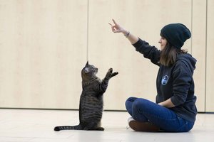 Kater Aidan und Daniela Ranftler. Foto: Pawsitive Pet Training