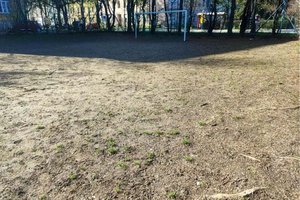 Durch Wurzeln am Spielfeld steigt die Verletzungsgefahr