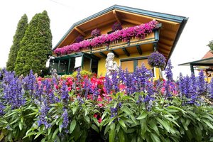Leistungsschau der Klagenfurter Hobbygärtner: Neuanmeldungen ab 13. Mai möglich.  Foto: StadtKommunikation