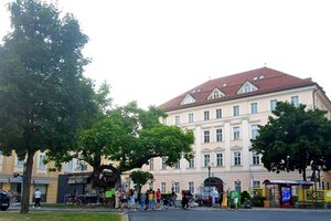 Initiative „Lasst die Bäume am Heuplatz leben“ setzt sich für Erhalt der Bäume ein. Foto: Initiative „Lasst die Bäume am Heuplatz leben“