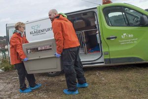 Das Tiko sucht Tierretter für die Kärntner Tierrettung. Foto: Tiko