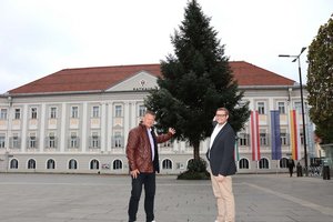 Bürgermeister Christian Scheider und Wirtschafts- und Tourismusreferent Stadtrat Julian Geier freuen sich über den schönen Baum, der heuer den Christkindlmarkt am Neuen Platz ziert. Foto: StadtKommunikation / Buchner