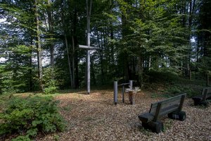 Der Wald als letzte Ruhestätte: 10 Jahre Friedensforst Klagenfurt. Foto: Gerhard Maurer