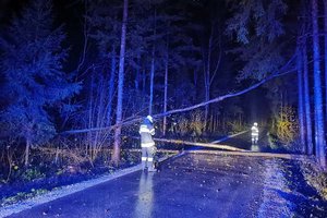 Baum stürzte durch Wind auf die Thoner Landesstraße. Foto: FF Miklauzhof 