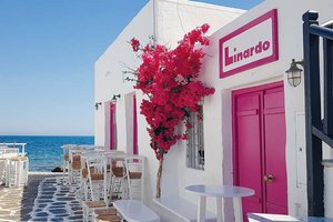 Im Sommer mit Springer Reisen wieder direkt nach Paros/Naxos. Foto: Springer Reisen
