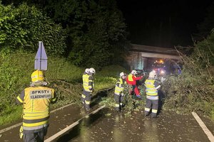 Umgestürzter Baum auf der Fahrbahn. Foto: FF Hauptwache Klagenfurt