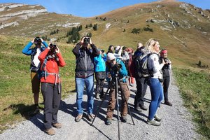 Alle Blicke Richtung Himmel: Das Wochenende stand im Zeichen des Vogelbeobachtens. Foto: Jan Wartenberg