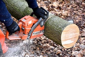LK-Präsident Huber: Waldbauern brauchen faire Holzpreise