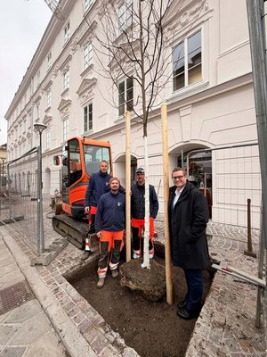 Stadtrat Julian Geier mit den Stadtgarten-Mitarbeitern Julian Uhl, Mustafa Hasic und Mario Sobe bei den frisch gepflanzten Erlen in der 10.-Oktober-Straße. Foto: Büro Stadtrat Geier