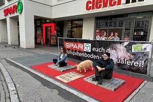 Tierschützer verbrachten am Heiligengeistplatz mehrere Stunden auf Vollspaltenböden. Foto: VGT.at