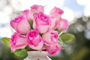 Ein Blumenstrauß zum Geburtstag ist weit mehr als ein hübsches Geschenk – er transportiert Gefühle, Wertschätzung und eine persönliche Botschaft.