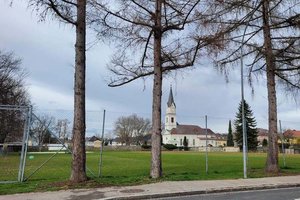 Sommerferienbetreuung FUNTASTICO wandert vom Koschatsportplatz zur Schulsportanlage St. Ruprecht. Foto: Mein Klagenfurt