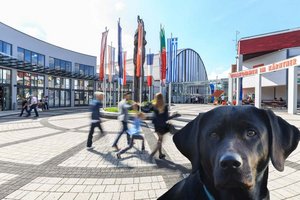 Im Sinne des Tierwohls: Hundeverbot bei Eigenmessen der Kärntner Messen. Foto: Kärntner Messen