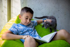 Im Tierheim: Kinder lesen Katzen vor. Foto: TiKo/Nina Zesar
