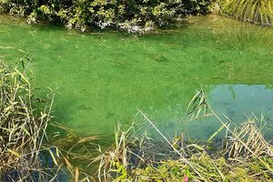 Baden im Sattnitz Volksbad St. Ruprecht derzeit nicht empfohlen. Foto: Mein Klagenfurt