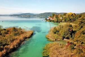 Die fertiggestellten Schilfschutzzaune von oben zu sehen. Foto: Hecke E.C.O.
