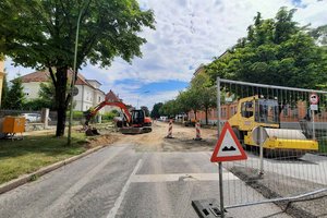 40 Bäume müssen in der Jesserniggstraße gefällt werden. Foto: Mein Klagenfurt