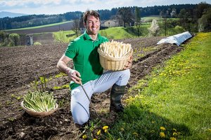 SPAR und der Kammerhof starten in die Kärntner Spargelsaison. Foto: SPAR/gleissfoto