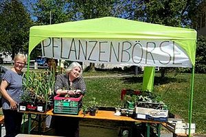Magdalensberger Pflanzenbörse am 13. Mai