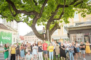 Protestaktion: Diese Bäume sollten der Neugestaltung des Heuplatzes weichen. Foto: Grüne Klagenfurt