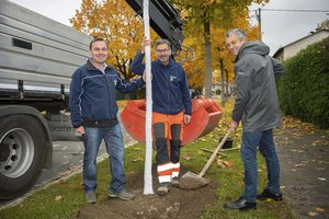 Stadtrat Max Habenicht und das Team des Stadtgartens starten die heurige Herbstpflanzung. Foto: StadtKommunikation/Thomas Hude