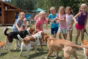 Das Tiko veranstaltet das erste Sommercamp für tierliebe Kinder. Foto: Symbolbild