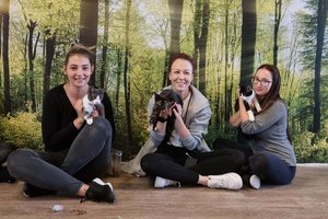 Neue tierische Mitarbeiter im Klagenfurter Katzencafé. Foto: TiKo/Nina Zesar