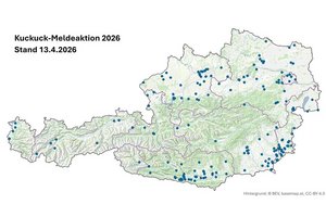 Österreich-Überblick gemeldeter Kuckucke
