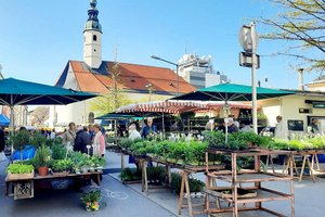 Änderung der Klagenfurter Marktordnung. Foto: Mein Klagenfurt