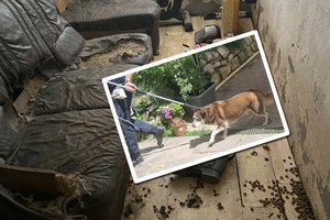 Tierrettung befreit neun Huskys aus völlig verdrecktem Keller. Foto: TiKo/Nina Zesar