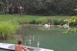 Berufsfeuerwehr Klagenfurt befreit Jungschwan von Angelschnur. Foto: Berufsfeuerwehr Klagenfurt