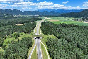 Koralmbahn: Entlang der Strecke wird weiter gebaut und aufgeforstet. Foto: ÖBB/Pachoinig