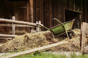 Pünktlich zur Landwirtschaftskammerwahl: Populismus am Rücken der Bäuerinnen und Bauern
