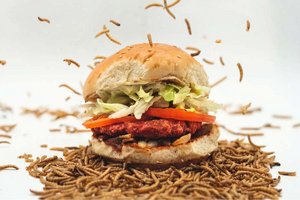 Future Food: Le Burger präsentiert den neuen „Wormwich“ auf Basis tierischer Proteine. Foto: Le Burger